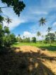 Land for Sale Pannala