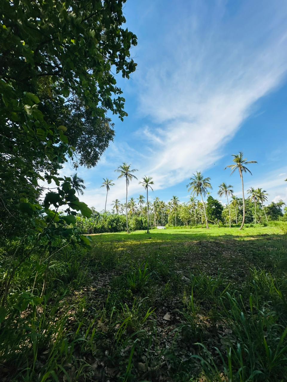 Land for Sale Pannala
