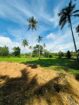 Land for Sale Pannala