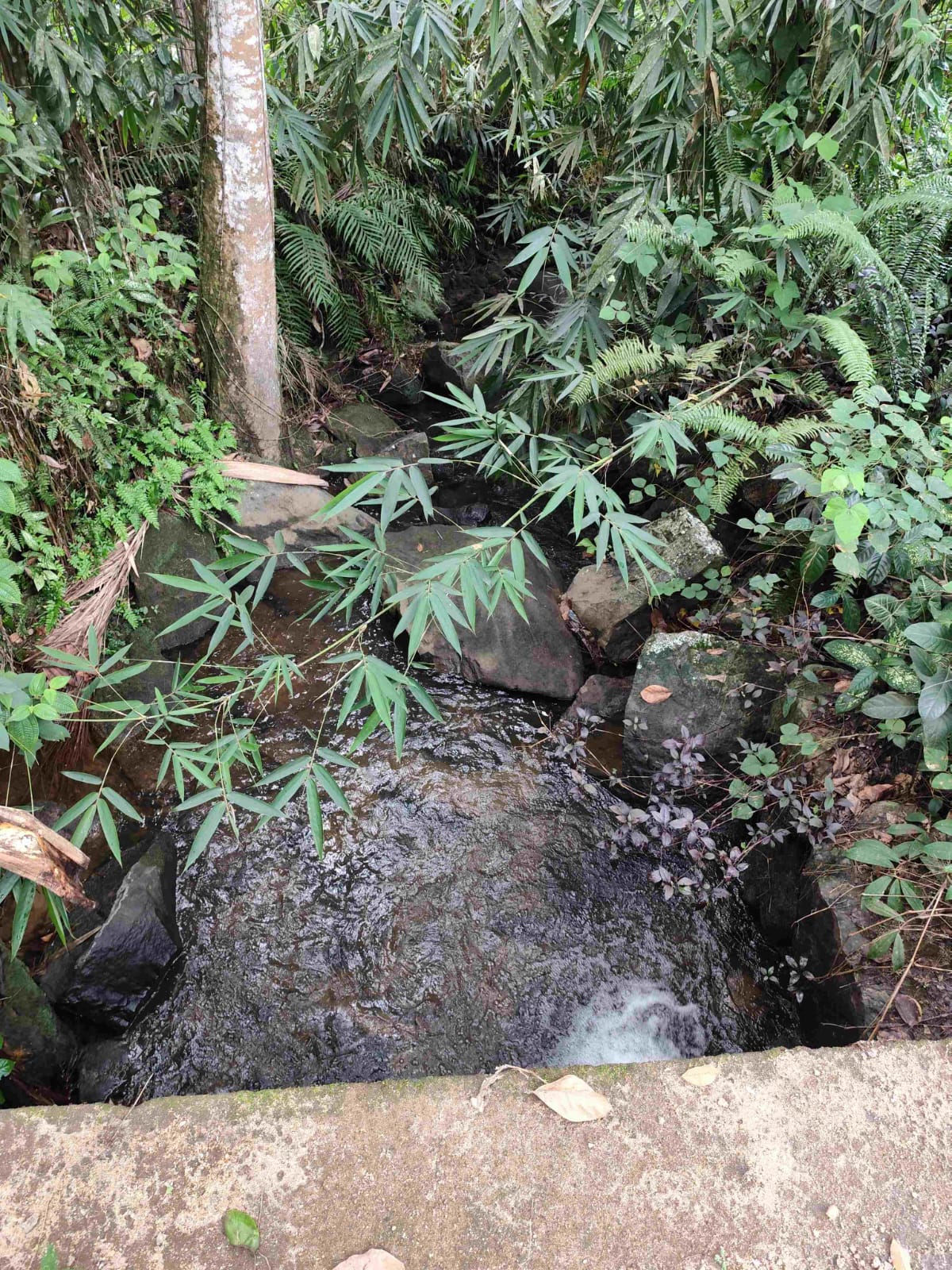 Land for Sale Elpitiya
