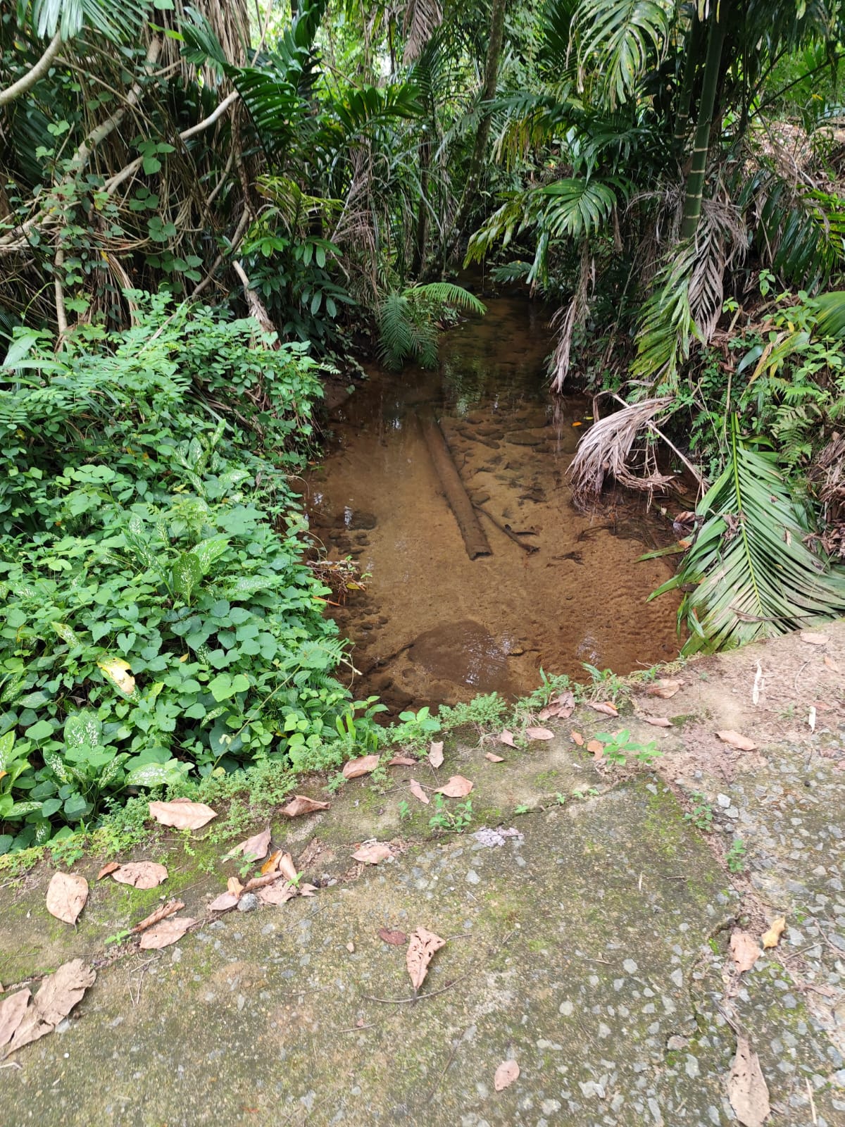 Land for Sale Elpitiya
