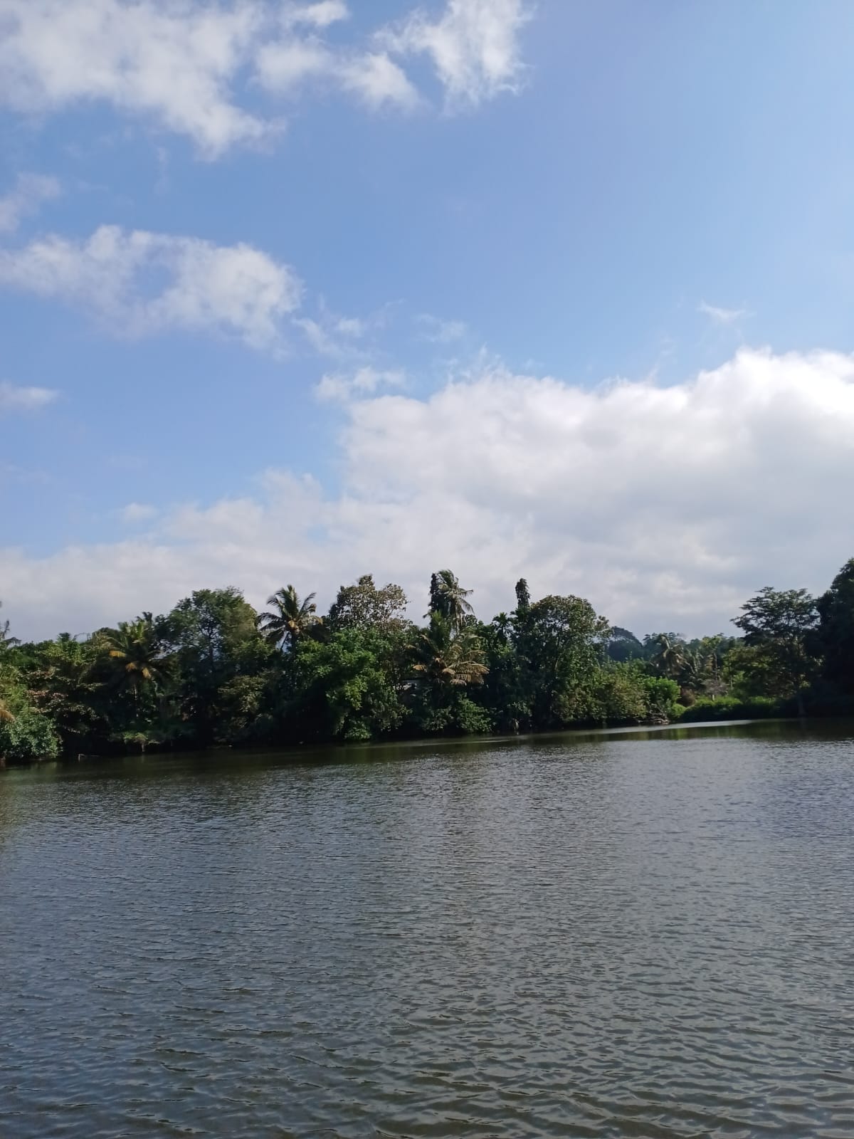 LAND WITH HOUSE FOR SALE IN KANDY