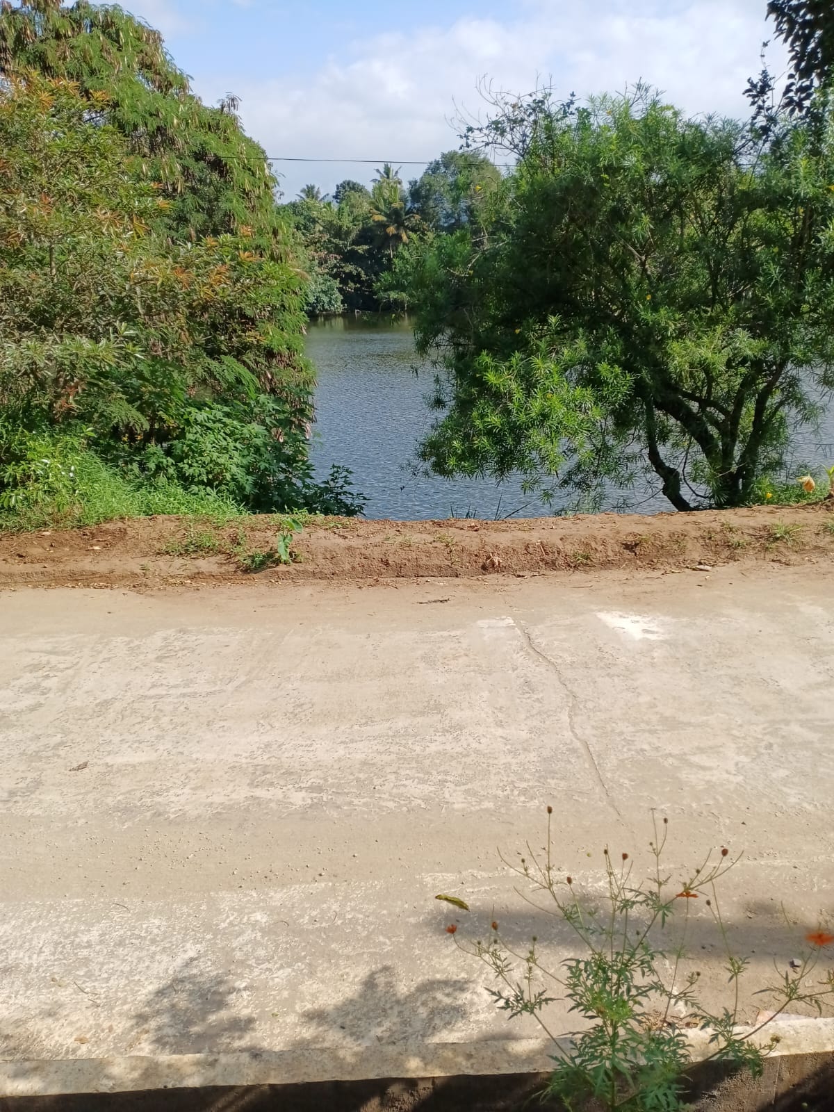 LAND WITH HOUSE FOR SALE IN KANDY