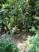 LAND WITH HOUSE FOR SALE IN KANDY