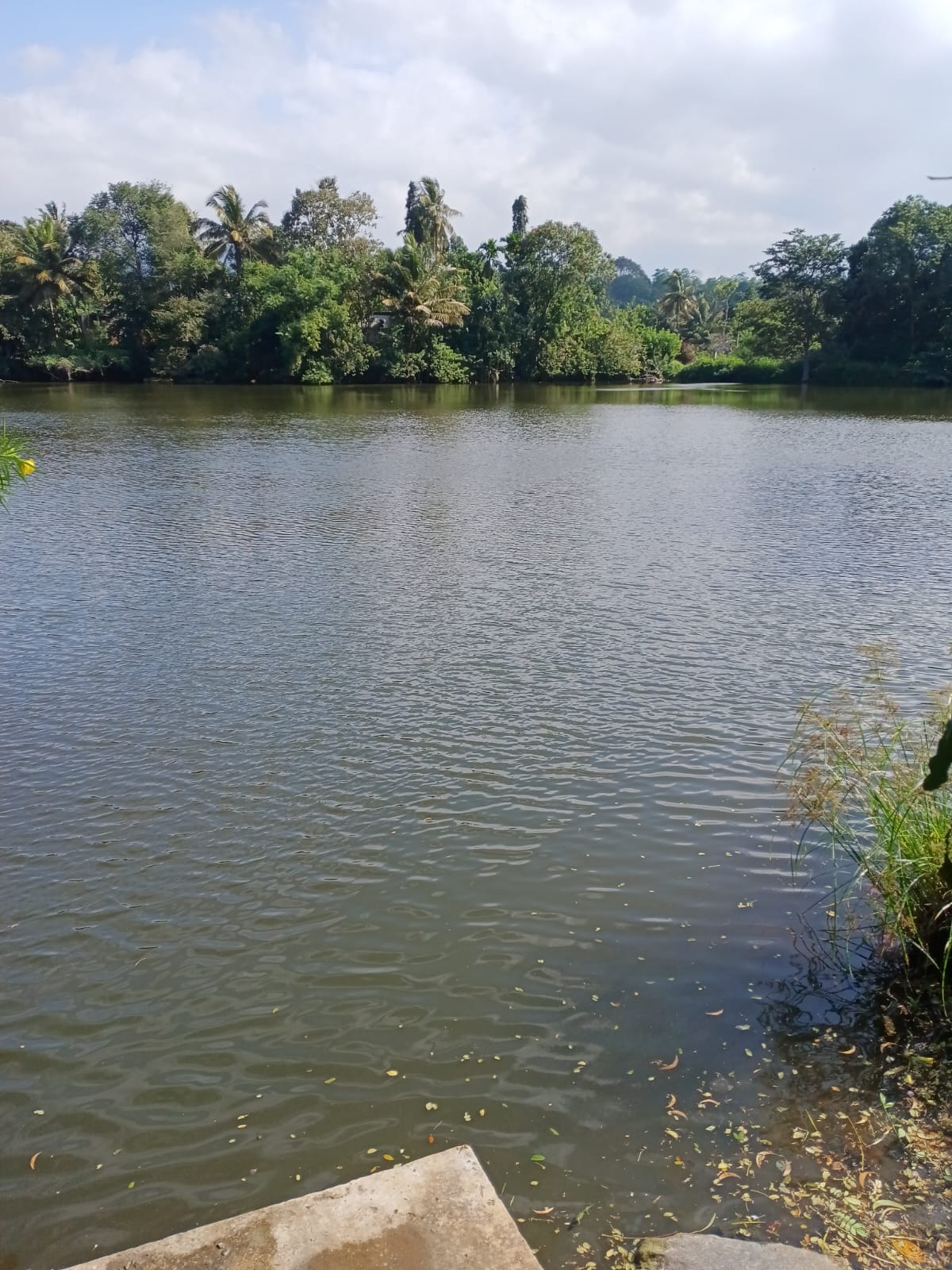 LAND WITH HOUSE FOR SALE IN KANDY