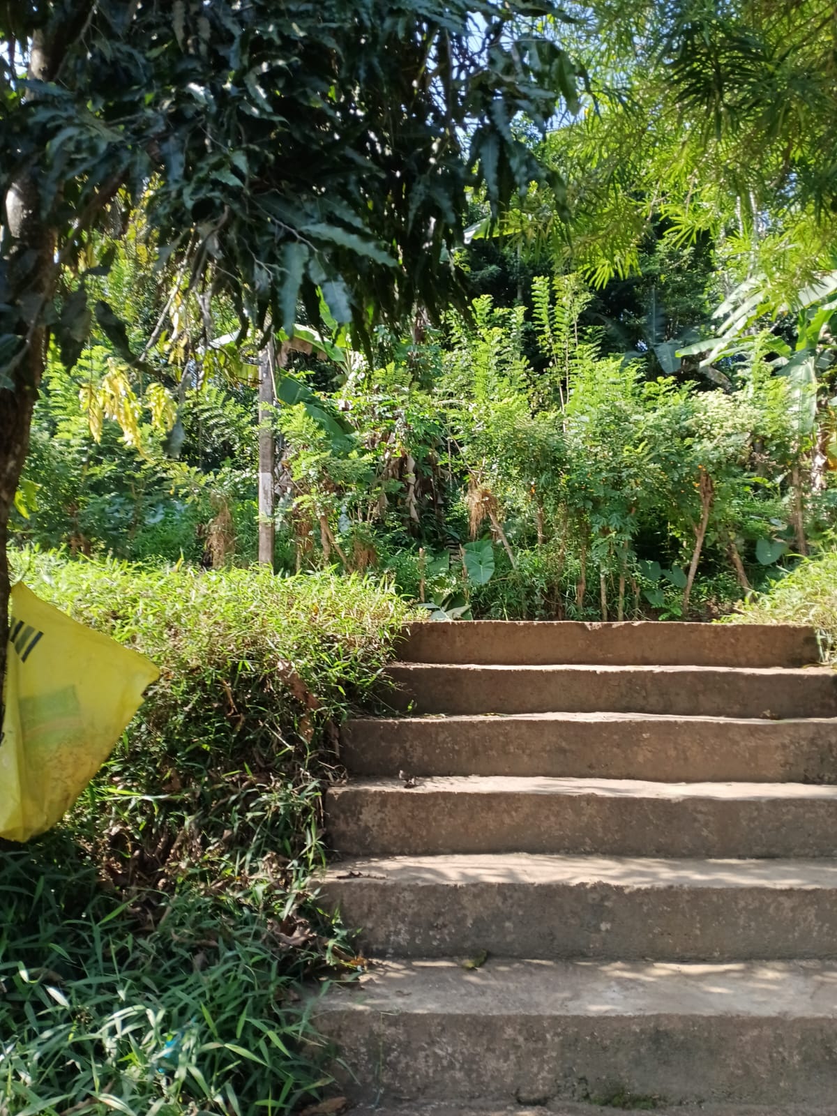 LAND WITH HOUSE FOR SALE IN KANDY