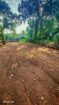 Land for Sale Korathota,Kaduwela