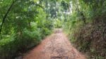 40-Acre Tropical Land  For Sell Galagedara