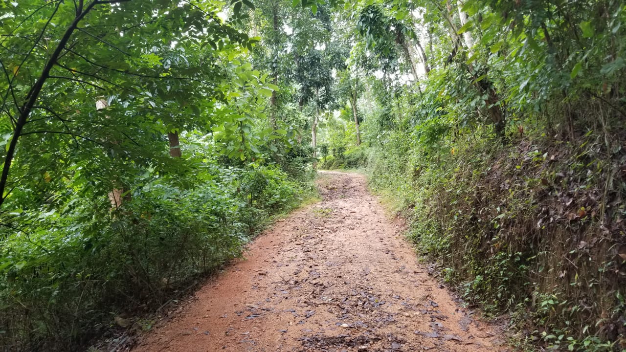 40-Acre Tropical Land  For Sell Galagedara