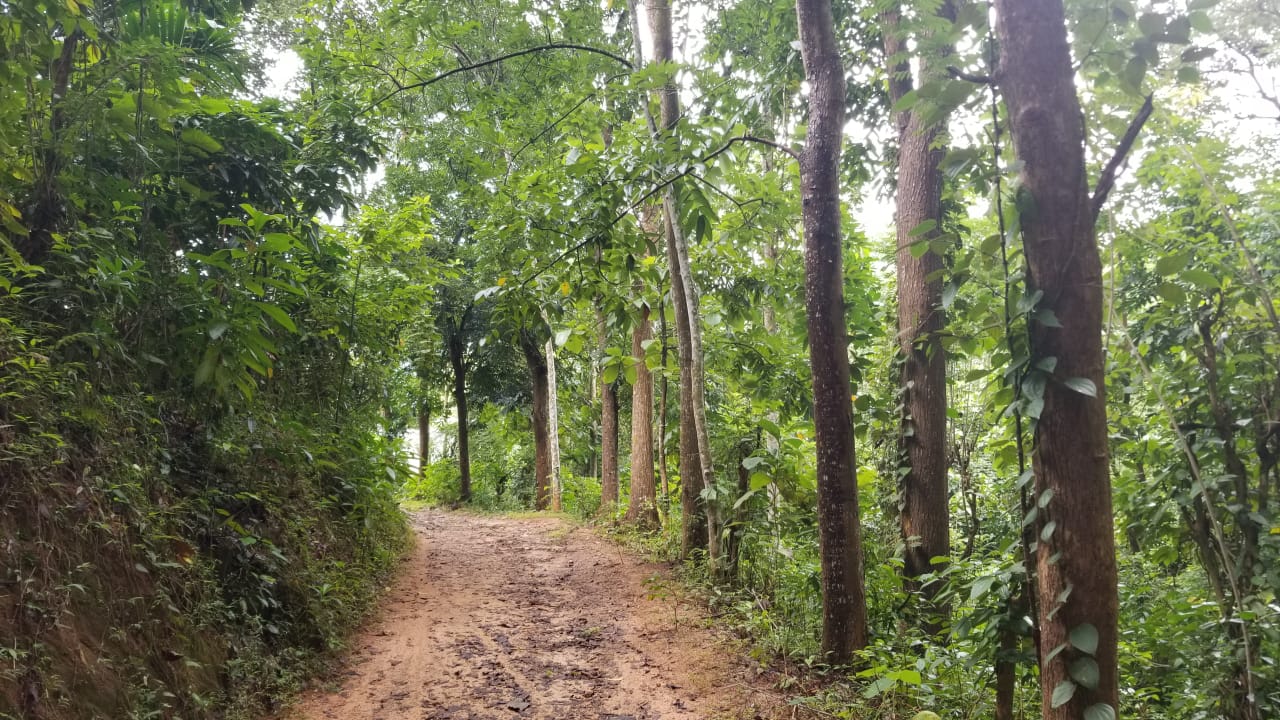 40-Acre Tropical Land  For Sell Galagedara