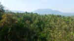 40-Acre Tropical Land  For Sell Galagedara