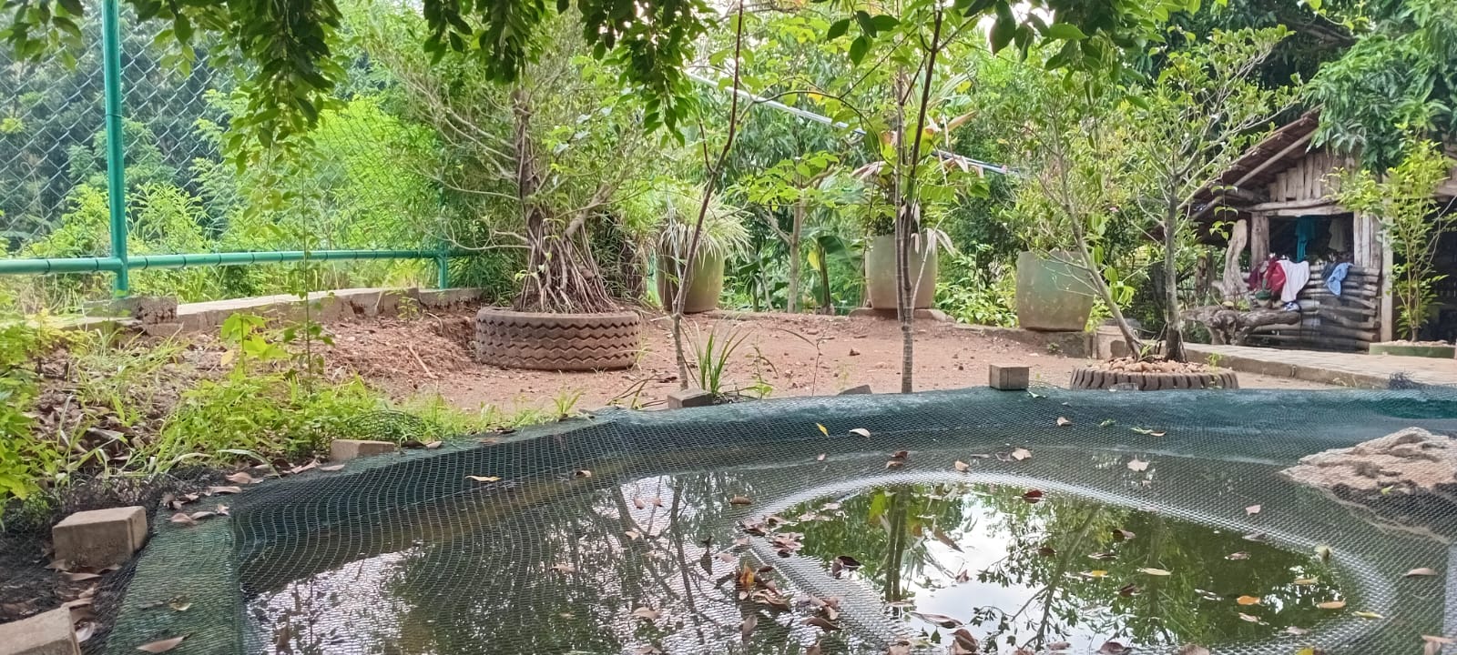 Land with House for Sale in Udawalawa