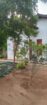 Land with House for Sale in Udawalawa
