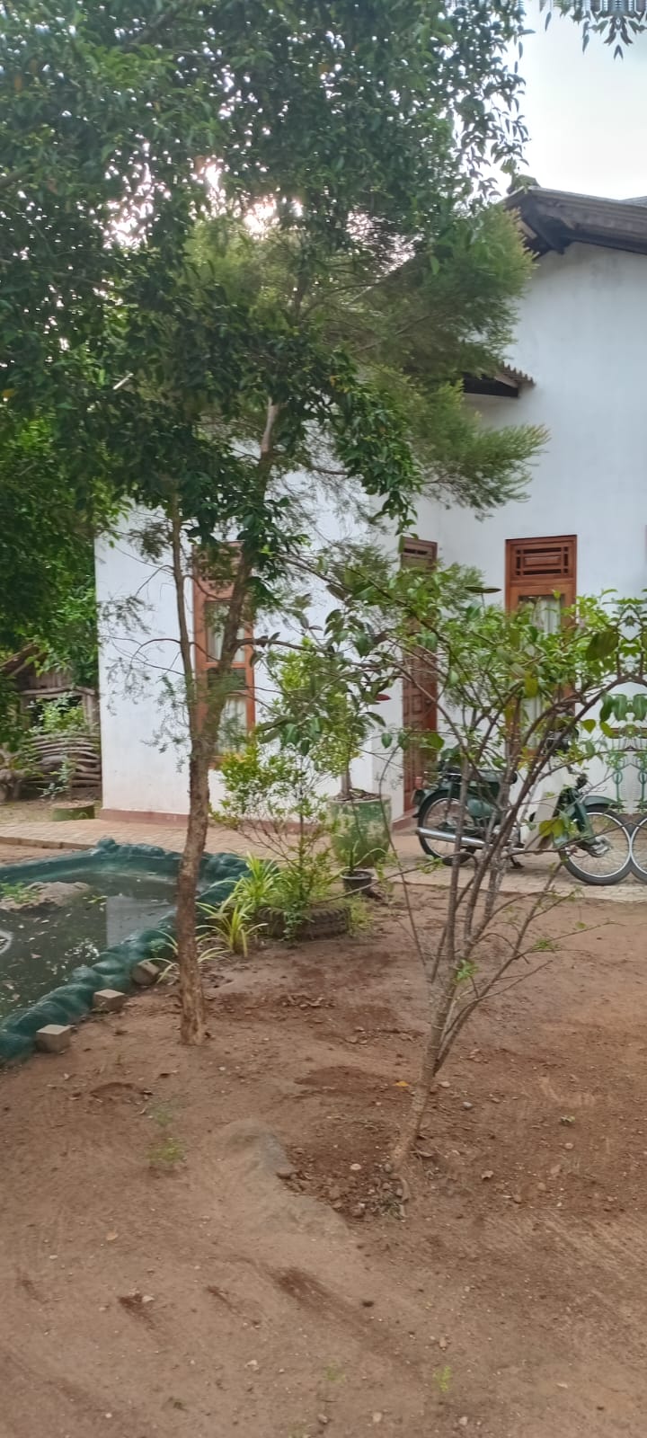 Land with House for Sale in Udawalawa