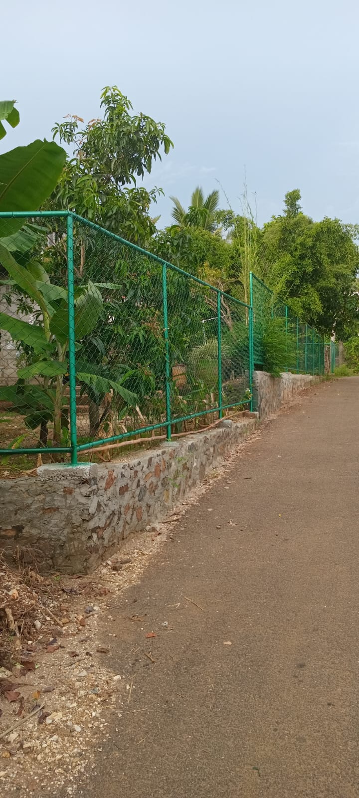 Land with House for Sale in Udawalawa