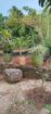 Land with House for Sale in Udawalawa