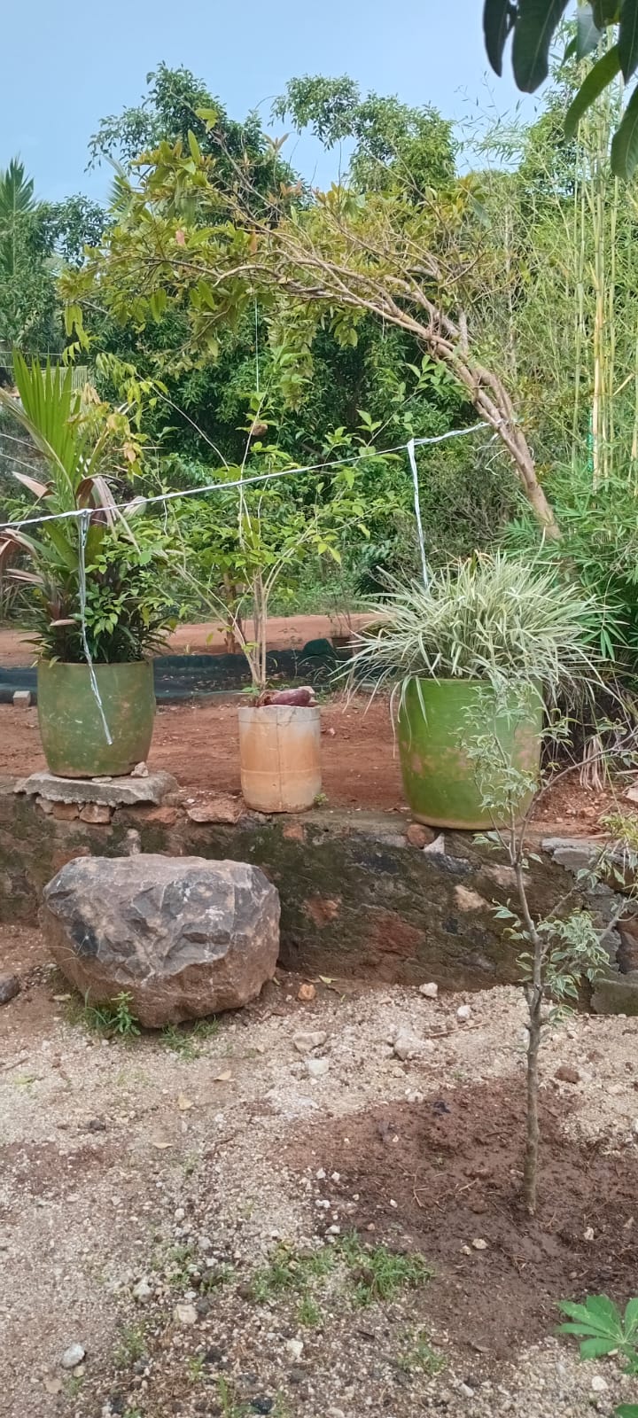Land with House for Sale in Udawalawa