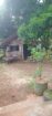 Land with House for Sale in Udawalawa