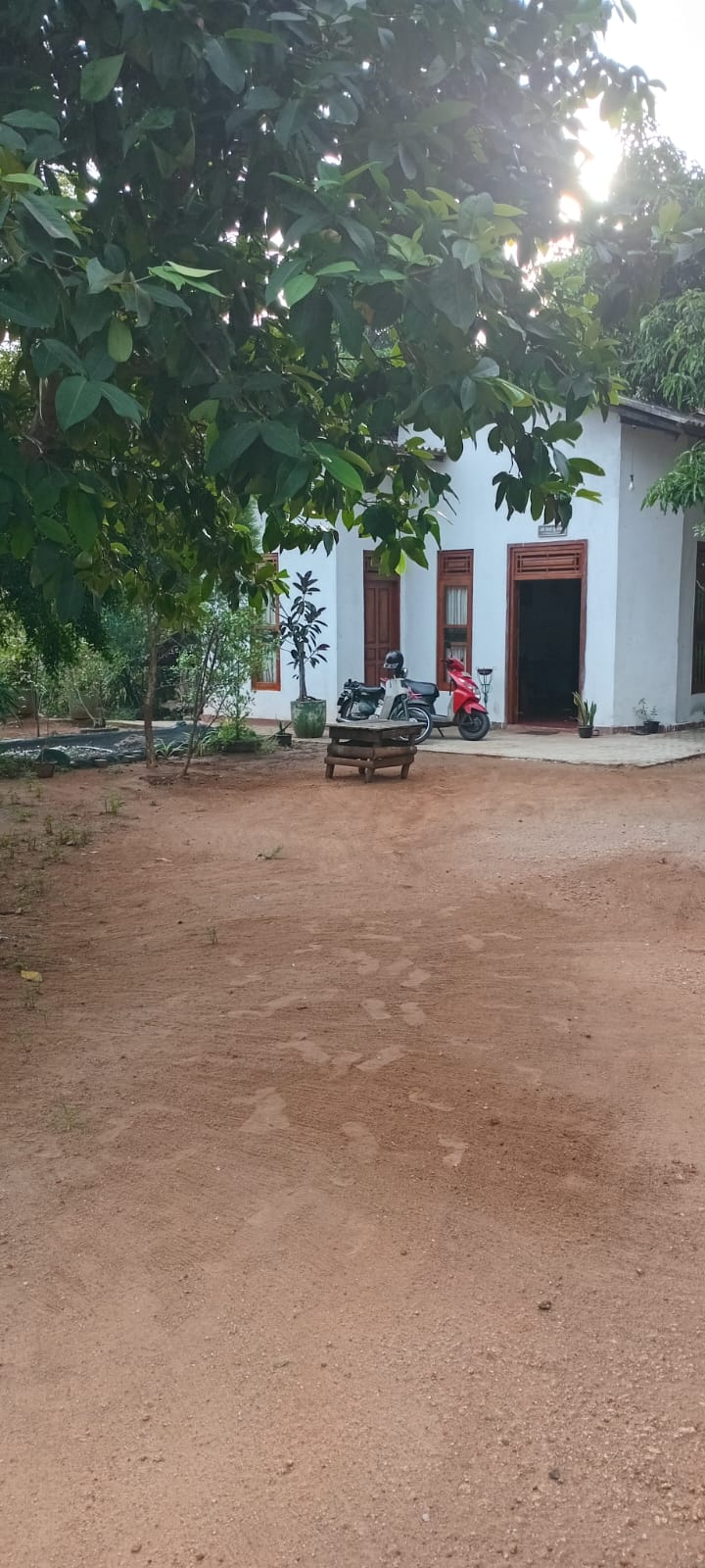 Land with House for Sale in Udawalawa