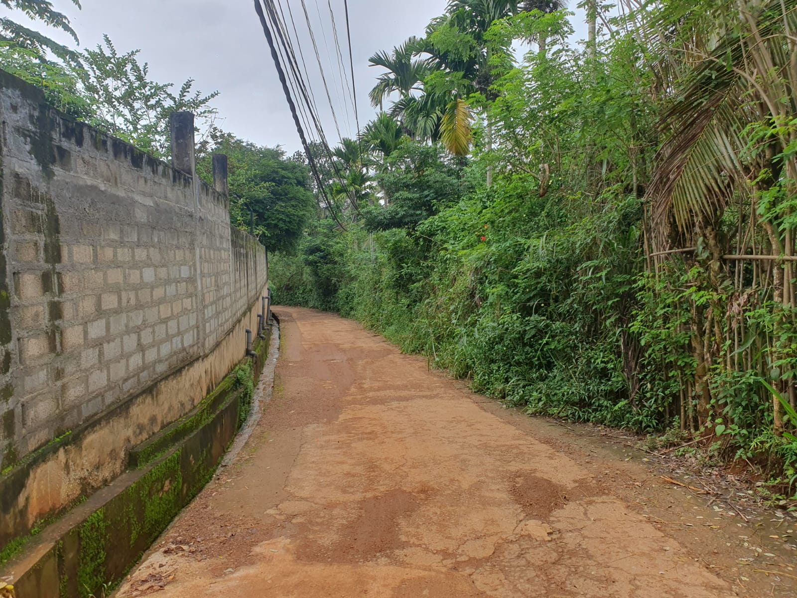 Land for Sale at Matale, Warakamura