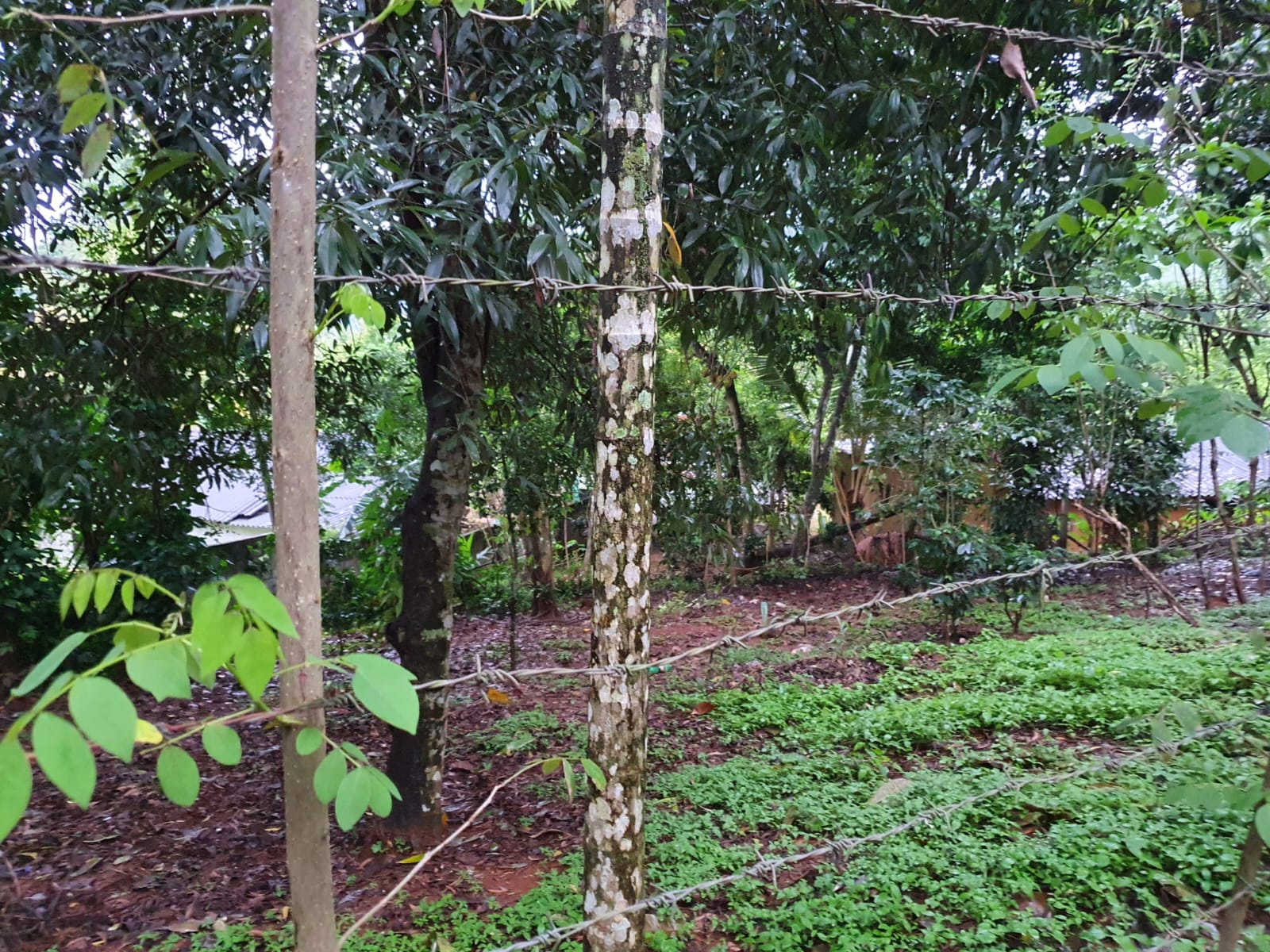 Land for Sale at Matale, Warakamura