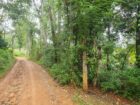 Land for Sale at Matale, Warakamura