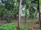 Land for Sale at Matale, Warakamura