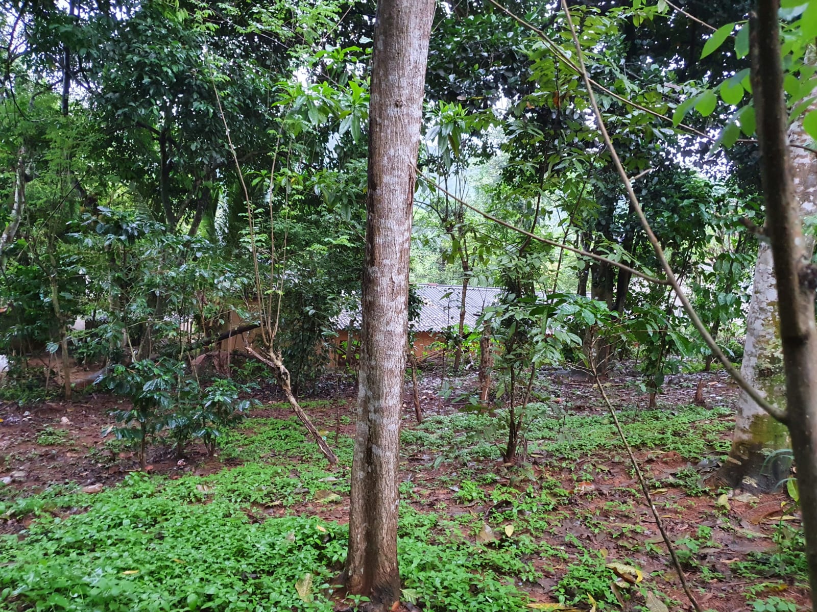 Land for Sale at Matale, Warakamura
