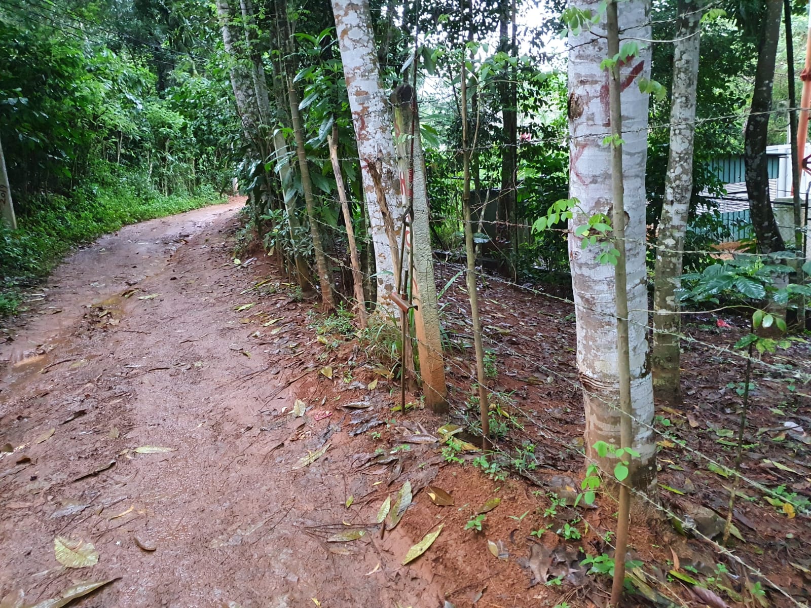 Land for Sale at Matale, Warakamura