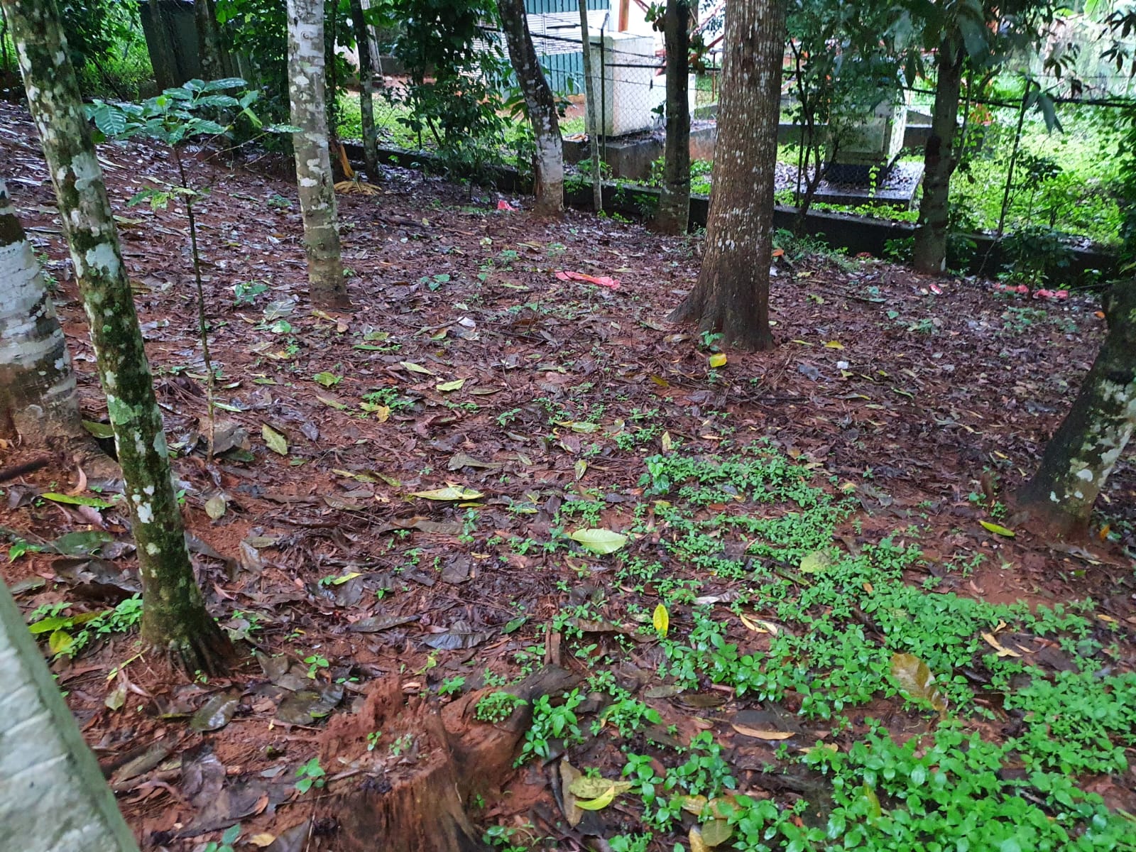 Land for Sale at Matale, Warakamura