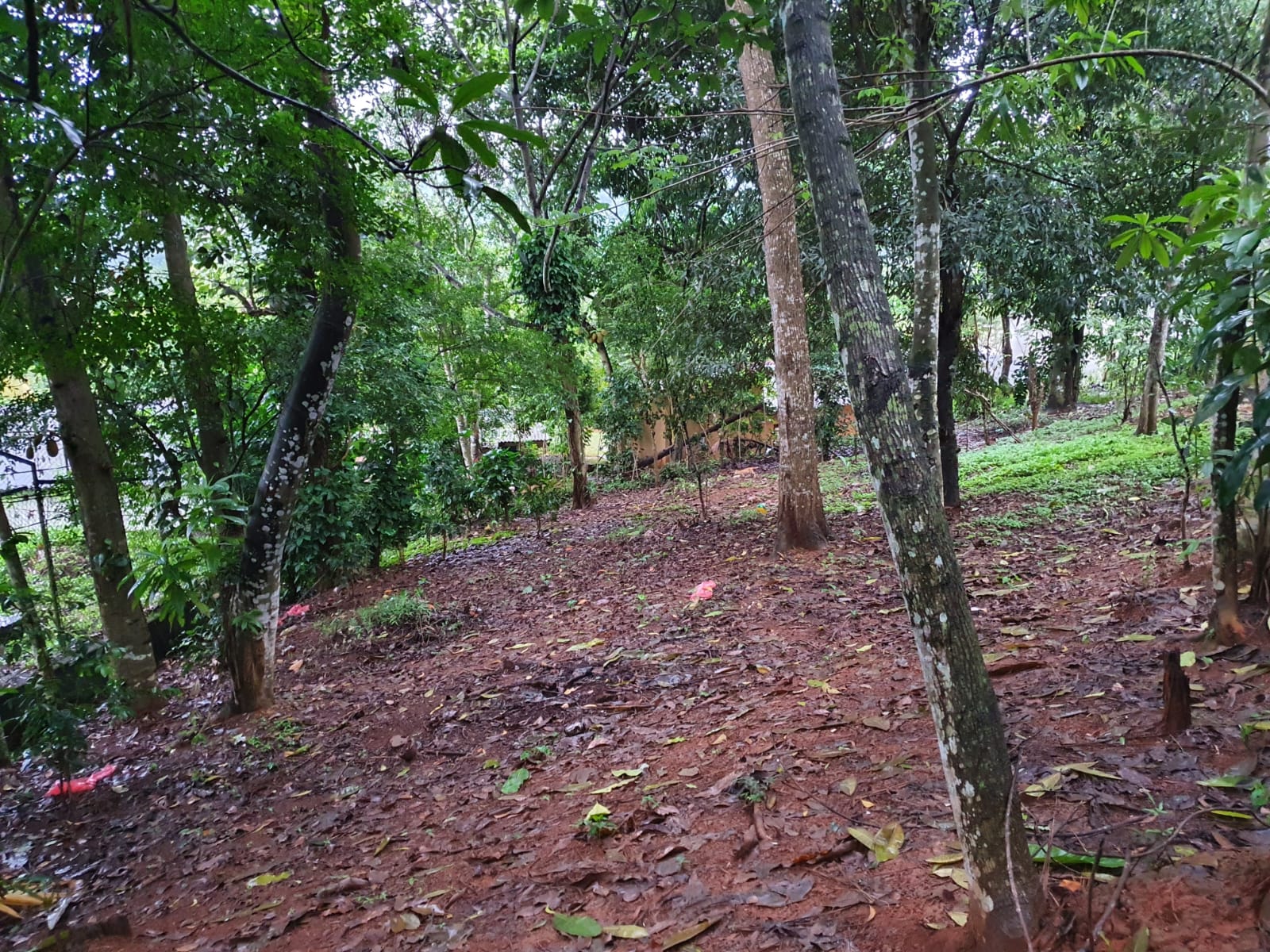 Land for Sale at Matale, Warakamura