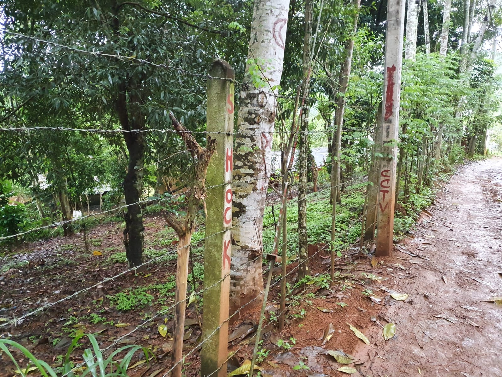 Land for Sale at Matale, Warakamura