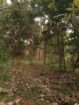 Land Sale in Kibissa