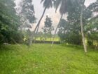 PRIME GUEST HOUSE FOR SALE IN BIYAGAMA