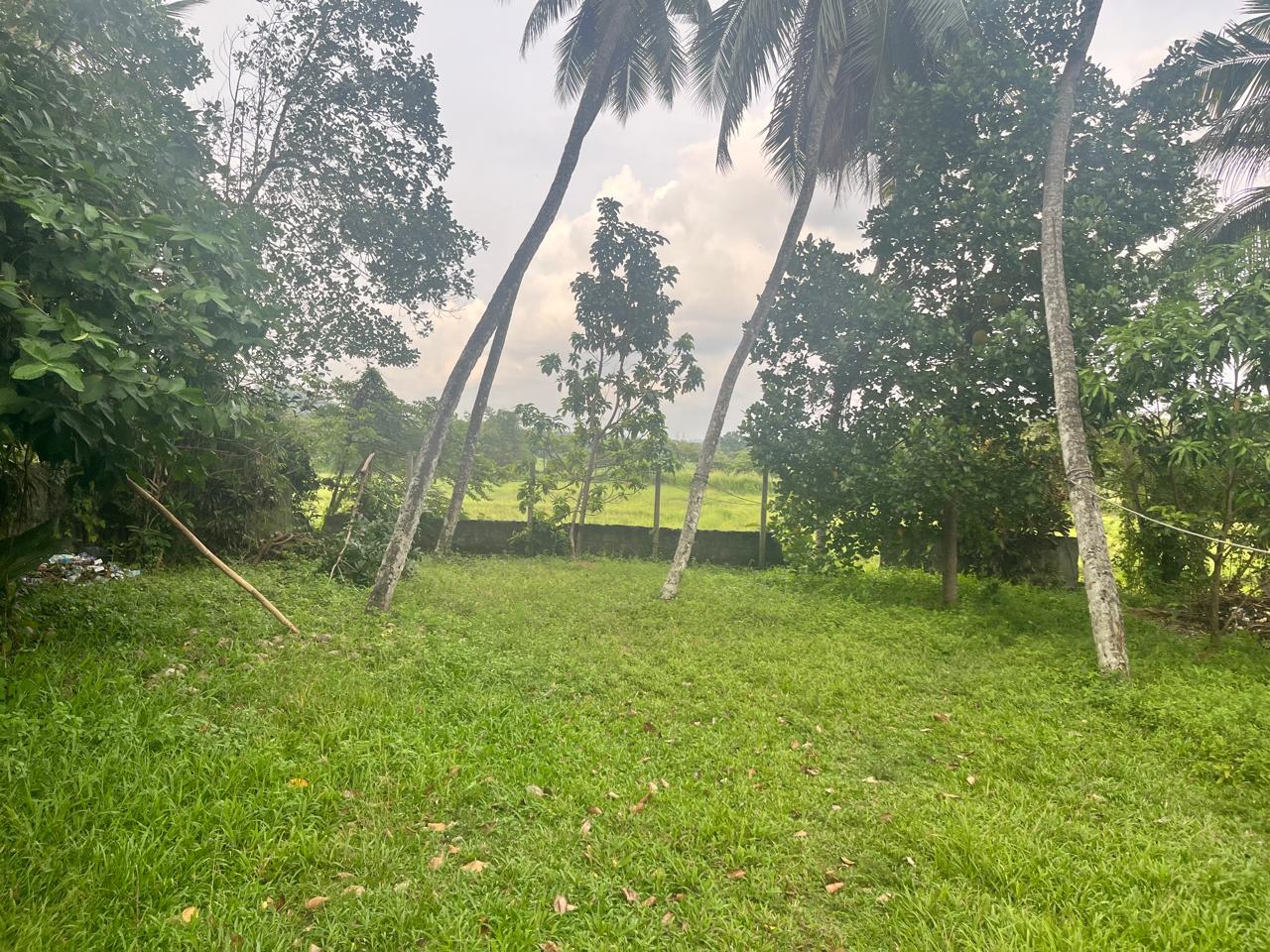 PRIME GUEST HOUSE FOR SALE IN BIYAGAMA
