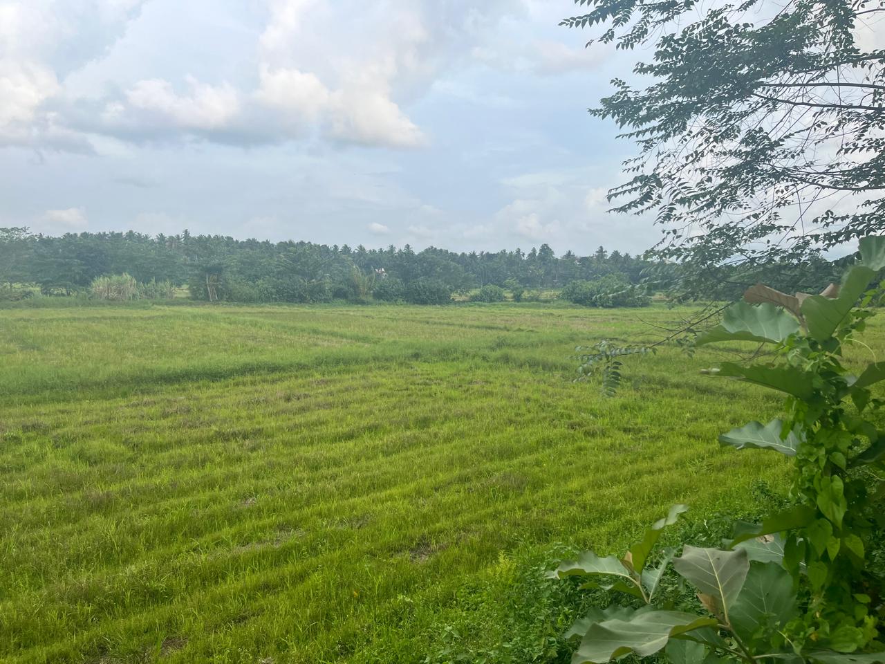 PRIME GUEST HOUSE FOR SALE IN BIYAGAMA