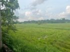 PRIME GUEST HOUSE FOR SALE IN BIYAGAMA