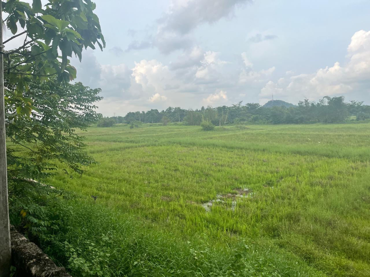 PRIME GUEST HOUSE FOR SALE IN BIYAGAMA