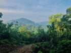 Ellat 4 K.M Durin Land for Sale