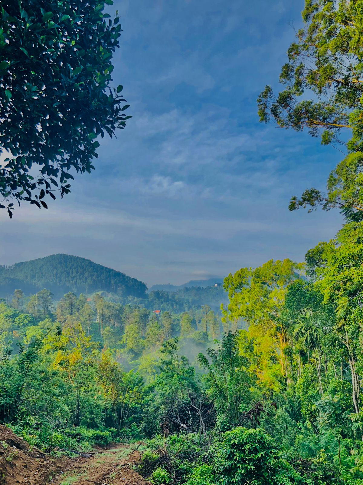 Ellat 4 K.M Durin Land for Sale