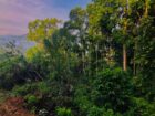 Ellat 4 K.M Durin Land for Sale