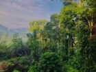 Ellat 4 K.M Durin Land for Sale
