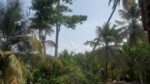 House For Sale Diyalagoda, Maggona