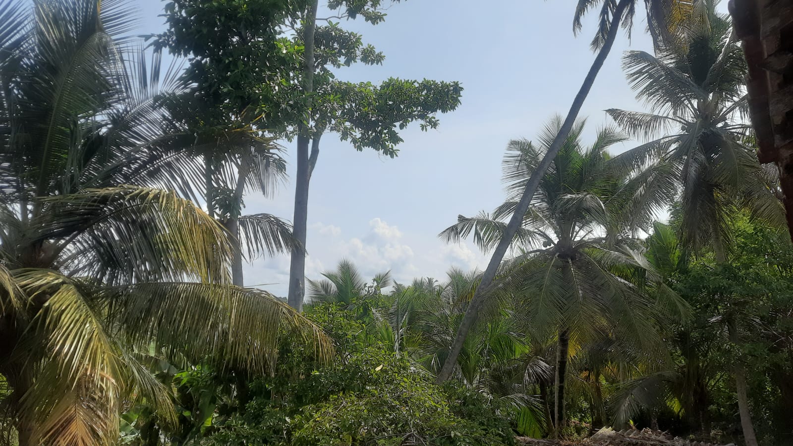 House For Sale Diyalagoda, Maggona