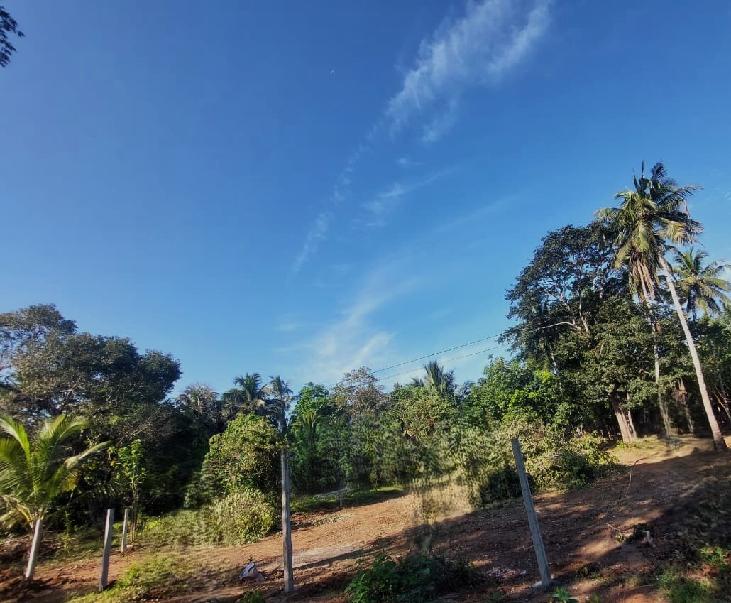 ත්‍රීකුණාමලයෙන් පර්චස් 40ක වටිනා ඉඩමක් විකිණීමට ඇත