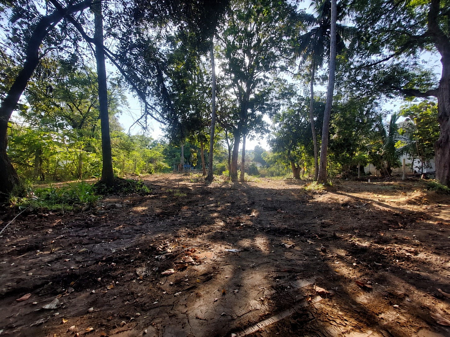 ත්‍රීකුණාමලයෙන් පර්චස් 40ක වටිනා ඉඩමක් විකිණීමට ඇත