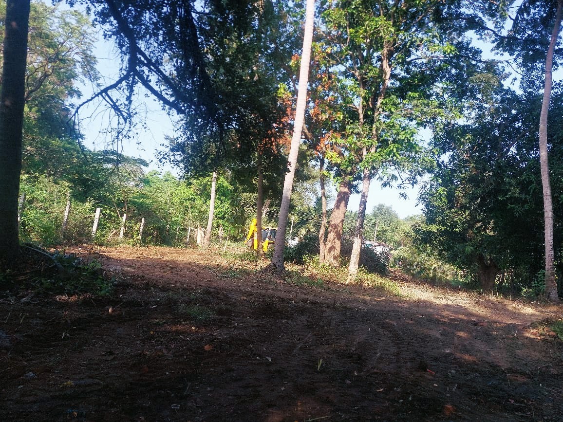 ත්‍රීකුණාමලයෙන් පර්චස් 40ක වටිනා ඉඩමක් විකිණීමට ඇත