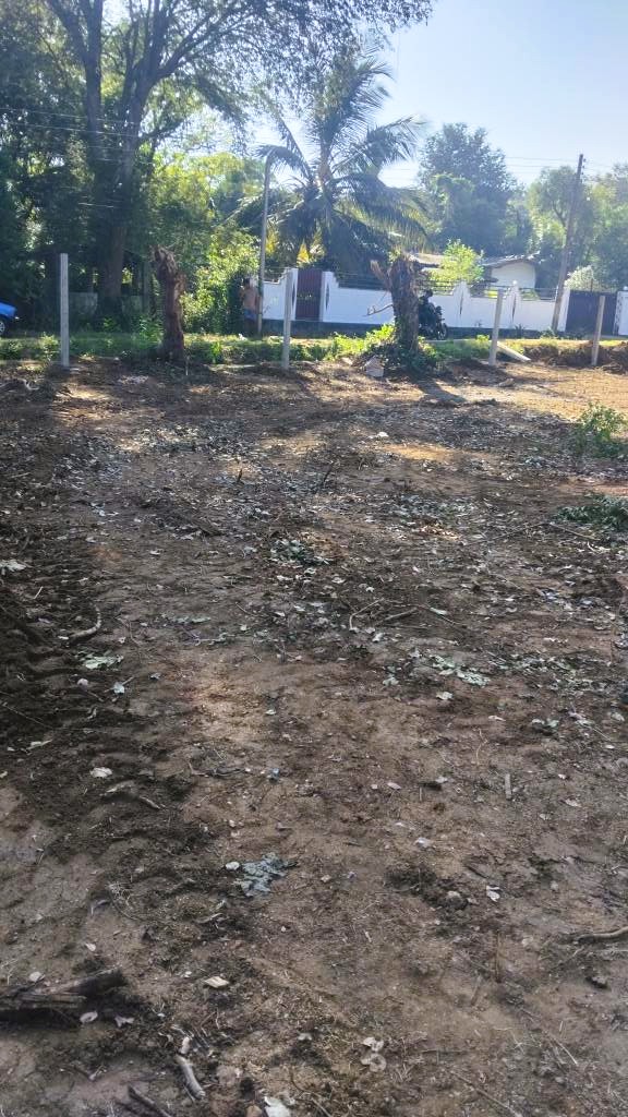 ත්‍රීකුණාමලයෙන් පර්චස් 40ක වටිනා ඉඩමක් විකිණීමට ඇත