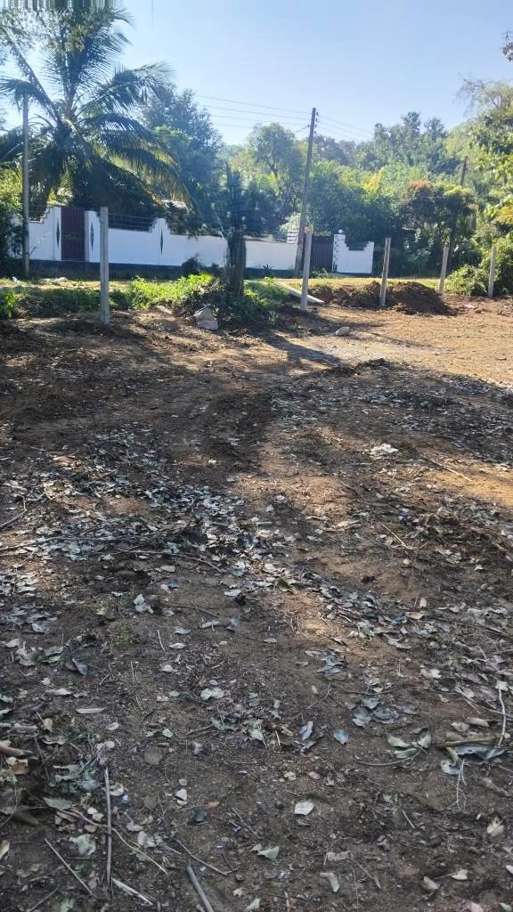 ත්‍රීකුණාමලයෙන් පර්චස් 40ක වටිනා ඉඩමක් විකිණීමට ඇත