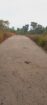 Land for Sale in Matugama – Iththapana